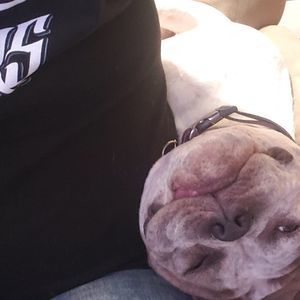 Meet your Posher, James